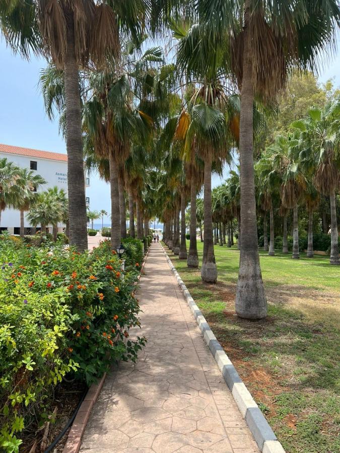 Anmaria Beach Hotel & Spa 圣纳帕 外观 照片