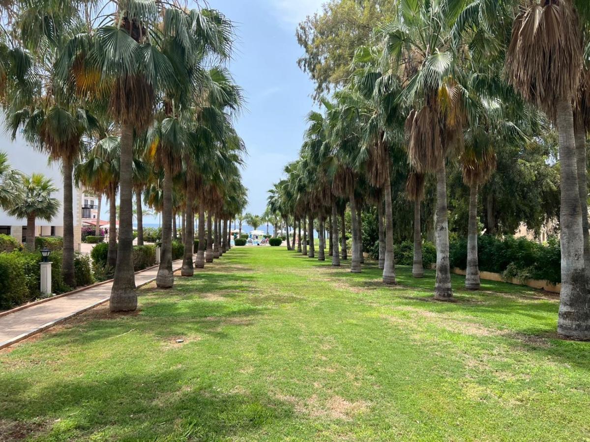 Anmaria Beach Hotel & Spa 圣纳帕 外观 照片